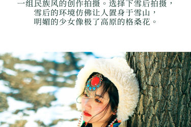 格桑花 精美 雪景 冬天 民族风 西藏美女