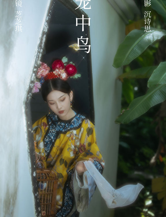 笼中鸟 古装 小仙女 美人 摄影 艺术 中国风 古典 古风 创意