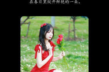 玫瑰园的少女 红色 少女 小清新 玫瑰花 写真